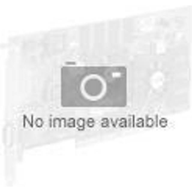 NVIDIA GeForce GTX 1650 - Grafikkort - GF GTX 1650 GDDR6 - PCIe 3.0 x16 - HDMI, 2 x DisplayPort - för ESPRIMO D7010, P5010, P558, P558/E94, P7010, P758, P758/E94, P9010, P958, P958/E94, P9910