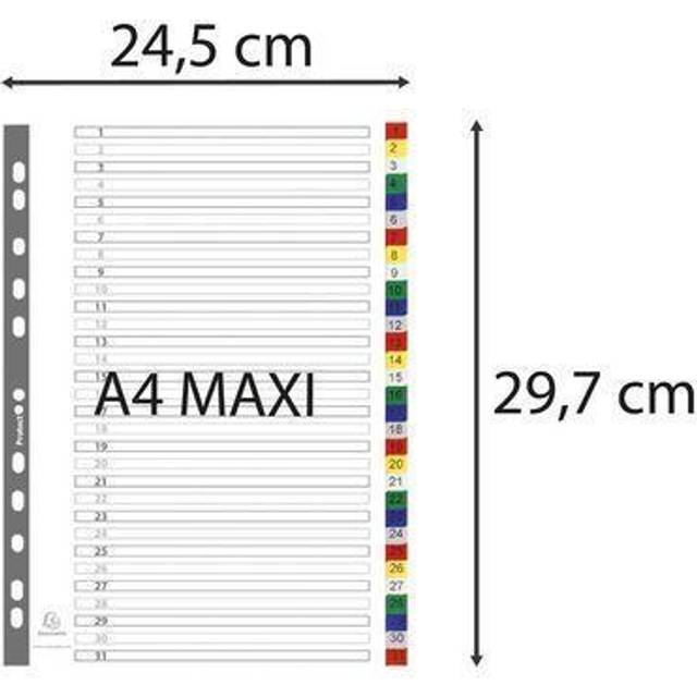 Exacompta Numerical Divider A4+ Assorted 31 tabs perforated pp 1 to 31