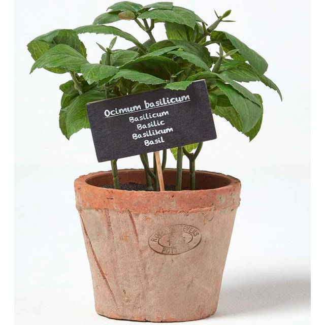 Homescapes Artificial Herb Basil Plant in Decorative Pot - Green