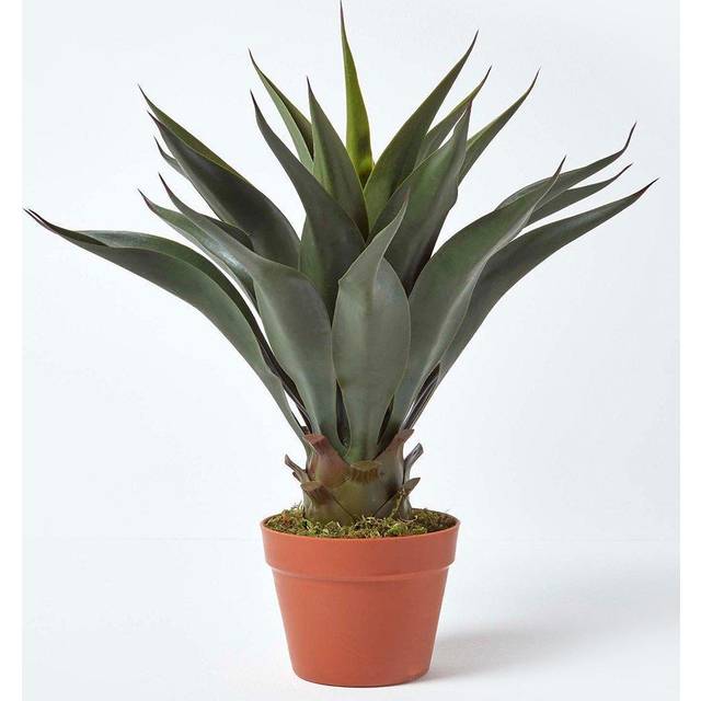 Green ‘Century Plant’ Artificial Agave Americana In Pot, 60cm Tall