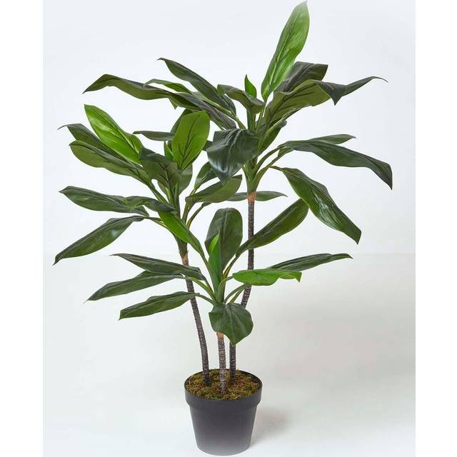 Artificial Cordyline Plant with Large Green Leaves, 100 cm Tall