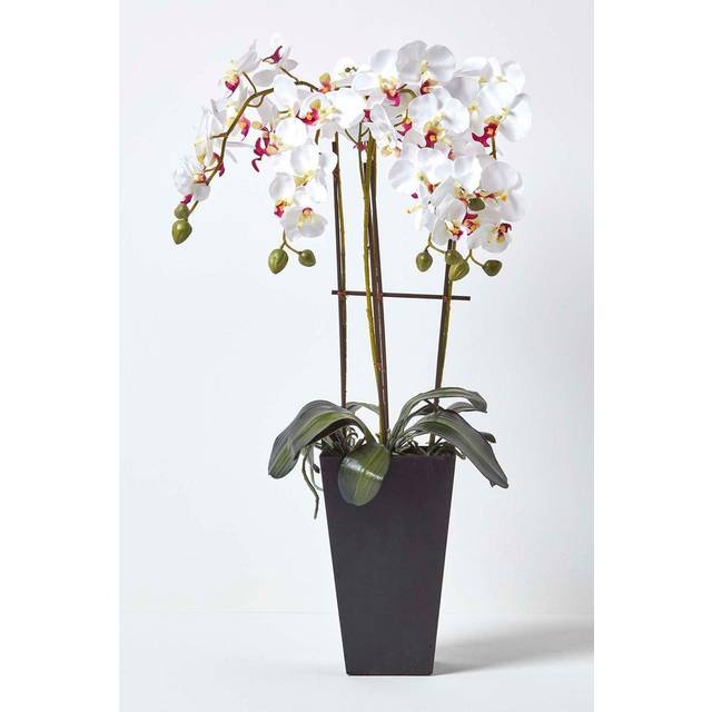 Lifelike White & Cerise Pink Artificial Orchid in Black Pot, 70 cms