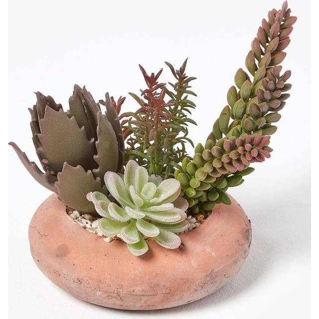 Artificial Succulent Arrangement in Decorative Terracotta Pot 15cm Wide - Multi Colour