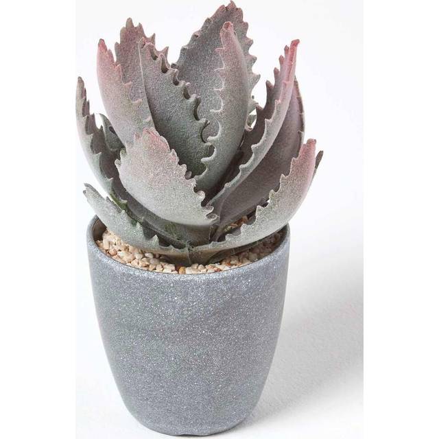 Aloe Vera Purple and Green Artificial Succulent In Pot, 21cm Tall