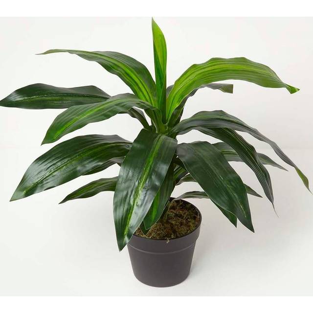 Homescapes Artificial Dragon Tree in Pot 65 cm Tall Dracaena Fragrans - Green