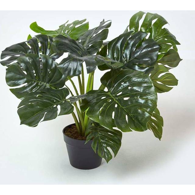 Artificial Monstera Plant Lifelike Green Cheese Plant, 60 cm Tall