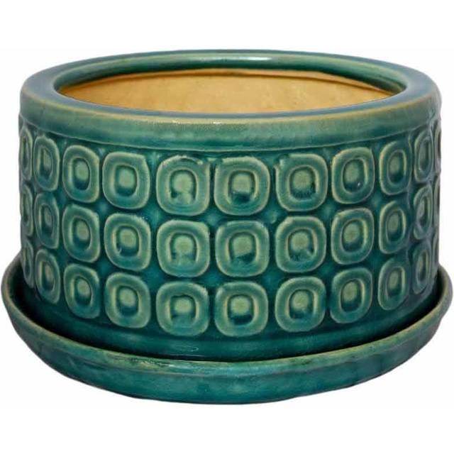 Ivyline Bonsai Planter Teal - D20Cm, Blue
