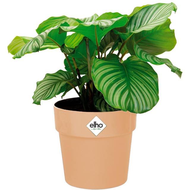 Plant Pot Flower Pot Recycled Recyclable Plastic Mint Peach Mulberry Round Frost-Resistant Size Choice Colour Choice nude/1,3 Liter (de)