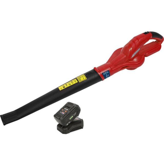 20V Lightweight Cordless Leaf Blower Bundle - Includes 4Ah Battery & Charger