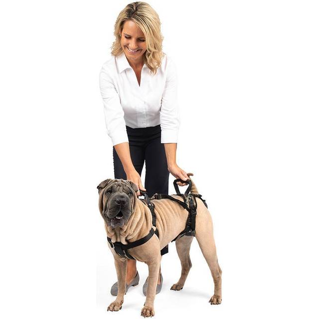 PetSafe CareLift lyftsele för hundar, för att stödja din hund när du går in och ut, storlek M