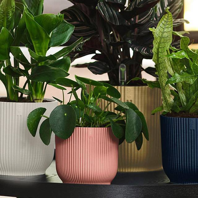 Elho Vibes Fold 16cm Round Plastic Indoor Plant Pot - Delicate Pink