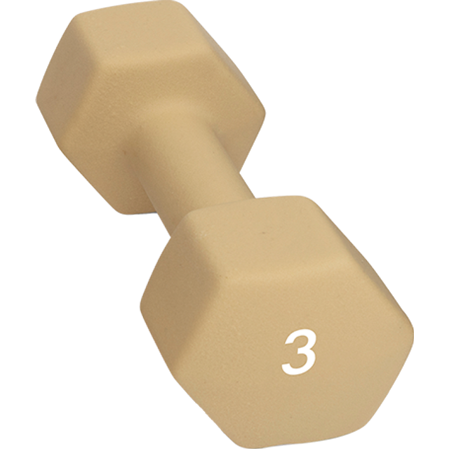 Abilica Hantel 1–10kg