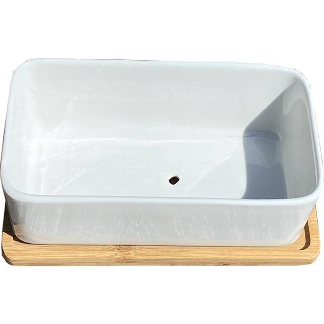 White Succulent and Cactus Trough Plant Pot