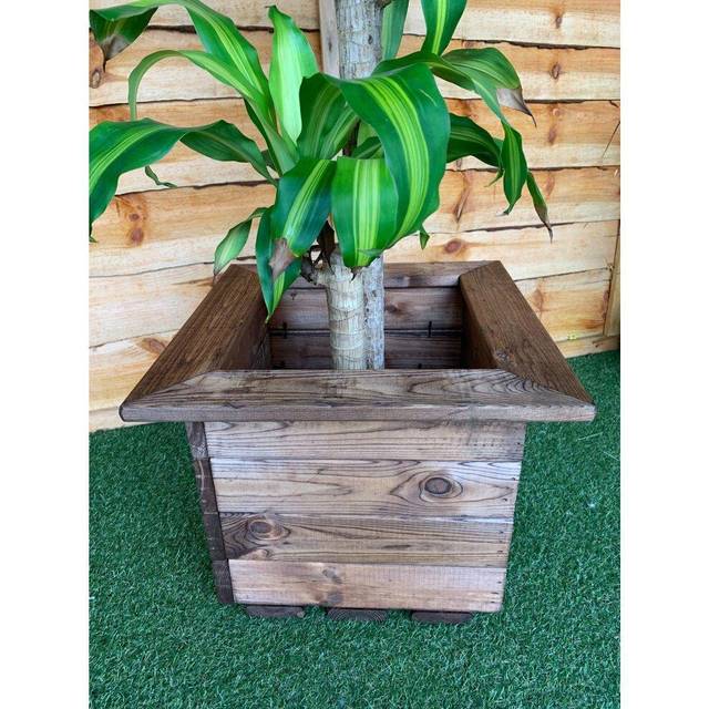 Small Wooden Cube Planter Square Garden Patio Pot Charles Taylor 41cm