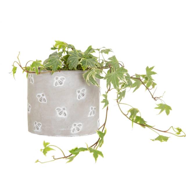 Sass & Belle Queen Bee Cement Planter, H11cm - grey - one size