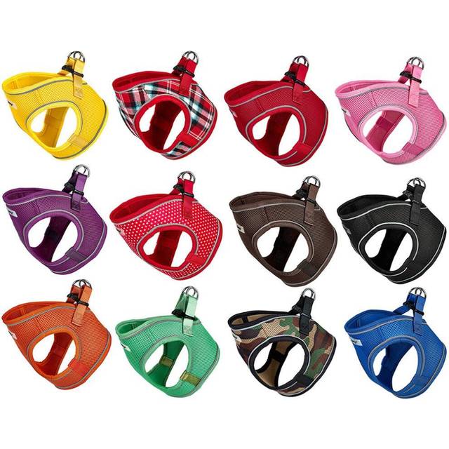 Bunty Pets Voyage Harness - Orange