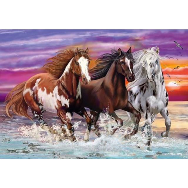 Trio of Wild Horses
