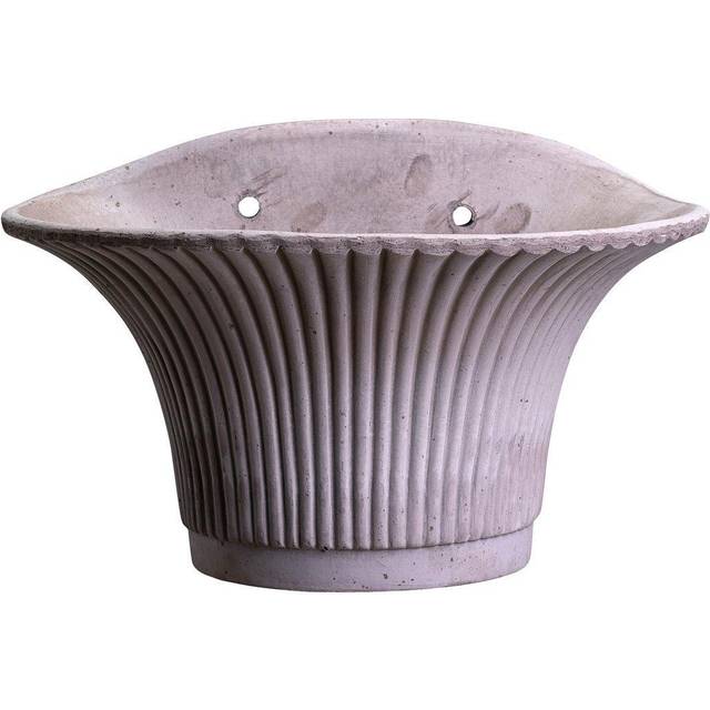 Kruka Daisy Grå Vägg