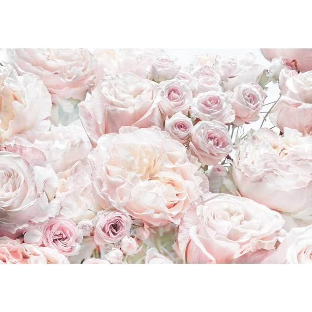 Komar 8 Pieces Spring Wallpaper Wall Decoration Roses Bedroom Romance Flower 8-976 Colourful 368 x 254 cm