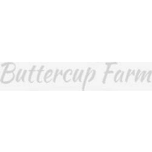 Aldeburgh Chicken Coop, Hen House For Up to 10 Hens. FULLY ASSEMBLED