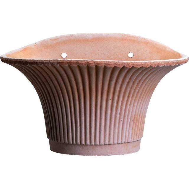 Kruka Daisy Rosa Vägg