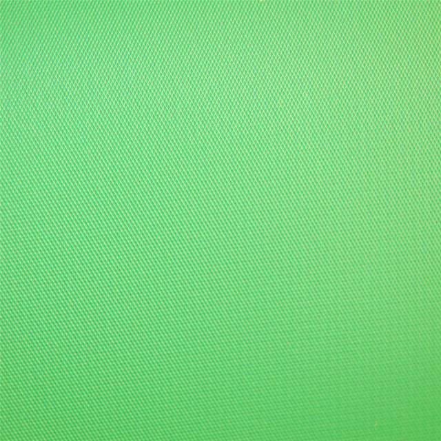 (3.04m x 6.09m) Savage Vinyl Chroma Green Backdrop Background Studio Photography Material