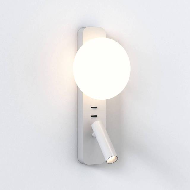 Astro Zeppo Reader Matt White Reading Light