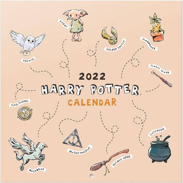 Grupo Erik: Official Harry Potter 12' x 12' Square Wall Calendar 2022, Family Calendar -Gifts