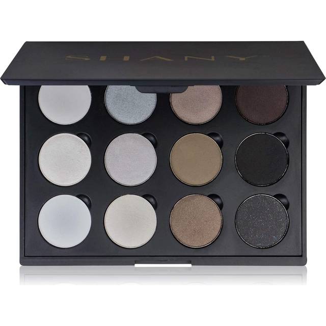 SHANY 12 Color Smoky Eye shadow Palette