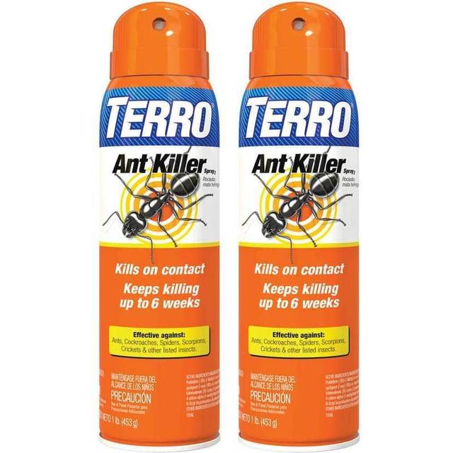 TERRO T401SR Indoor and Outdoor Ant Killer Aerosol Spray - Kills Ants, Cockroaches, Crickets, Scorpions, Spiders, and Other Insects