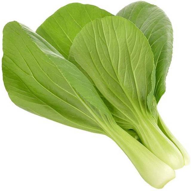 Click and Grow Pak Choi - Sg-031 Blomsterfrø