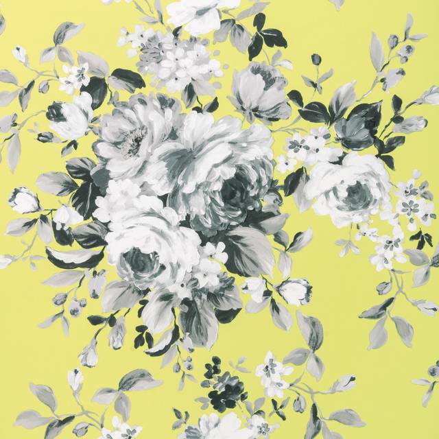 Emeline Citron - W008101