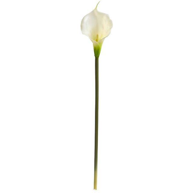 Nearly Natural 2006-S12-CR Calla Lily Artificial Flower (Set of 12), 28H x 3W x 3D, Cream