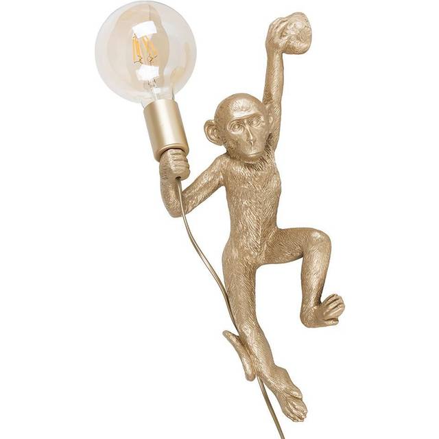 Dover 1-Light Armed Sconce - Gold (20cm W X 21cm D)