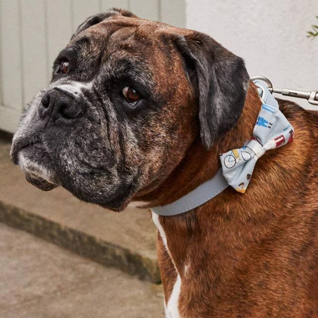 Cath kidston london people printed pet collar | dogs