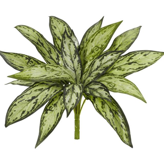 10 Silver Queen Artificial Plant (Set of 6)