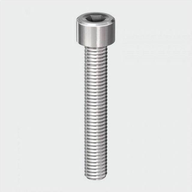 TIMCO Socket Screws Cap A2 Stainless Steel - 820CAPSSX - Pack of 10- you get 6