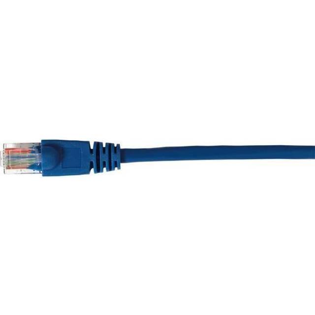25-Ft. CAT 5E Blue Cable -TPH532BR