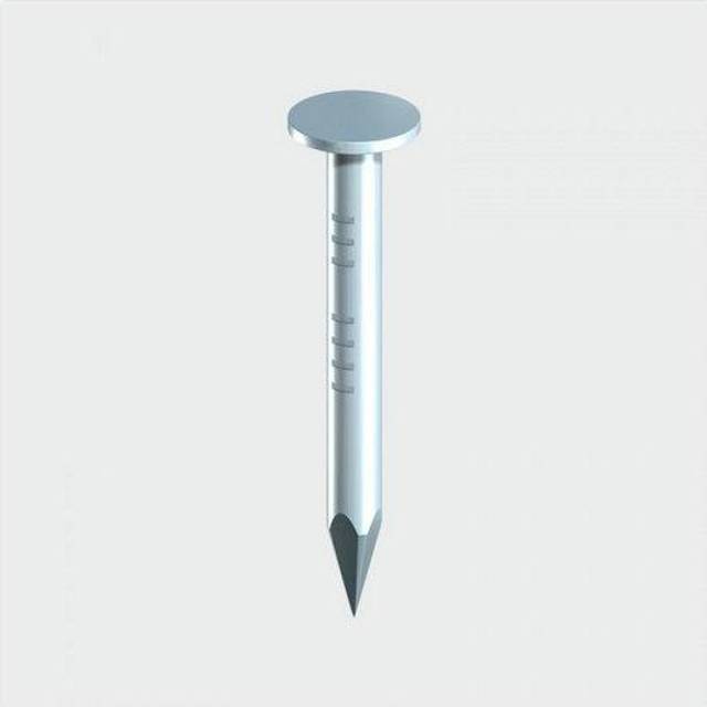 TIMCO Clout Nails Galvanised - GCN40P - Pack of 100- you get 8
