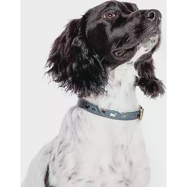 Fatface marching dogs collar medium 2cm (100% polyester)
