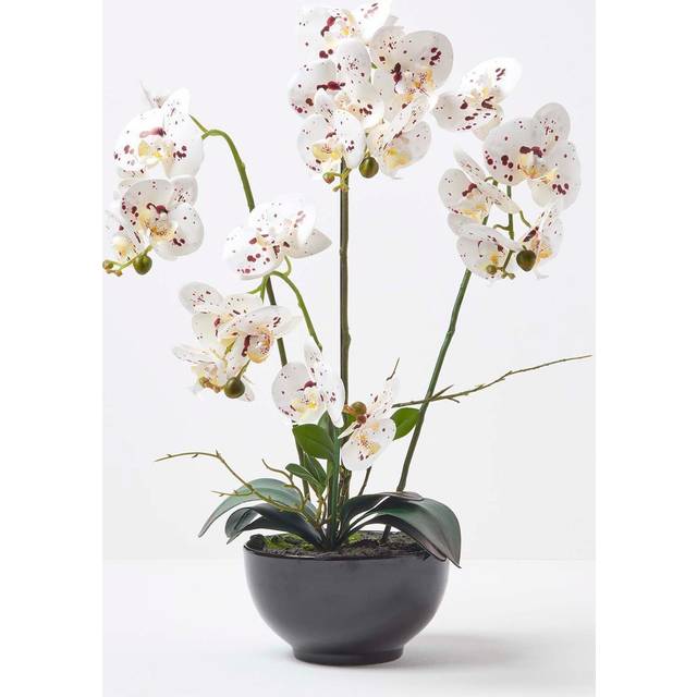 Large 62cm Lifelike White Artificial Orchid in Black Ceramic Pot