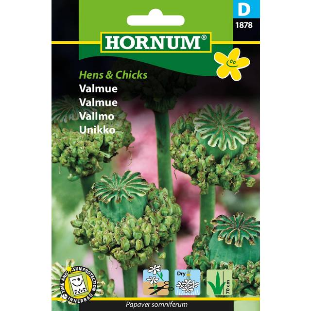 Hornum Valmue Hens and Chicks