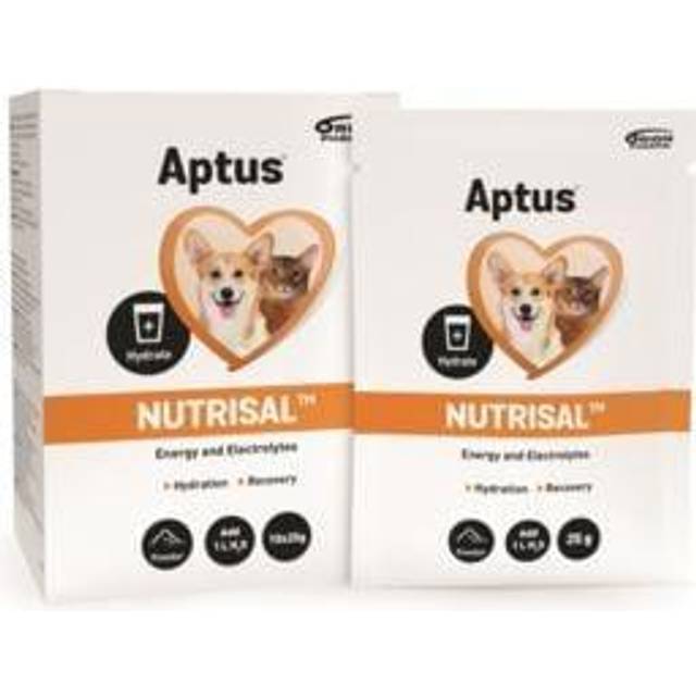 Aptus Nutrisal 10 x 25 g - Återhämtning