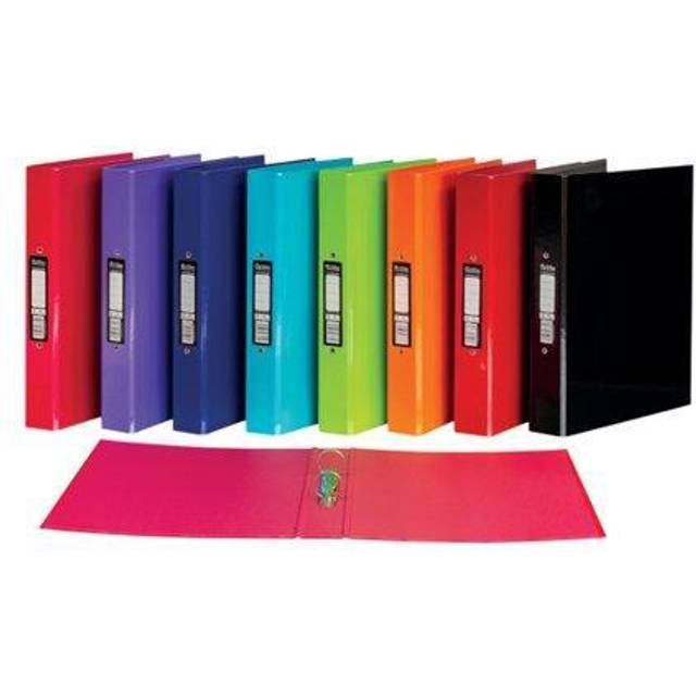 Pukka Brights Ringbinder A4 Assorted (10 Pack) BR-9449