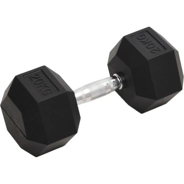 vidaXL Hantel 20 kg gjutjärn