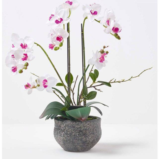 Homescapes 52cm Lifelike Artificial White Orchid in Grey Cement Pot