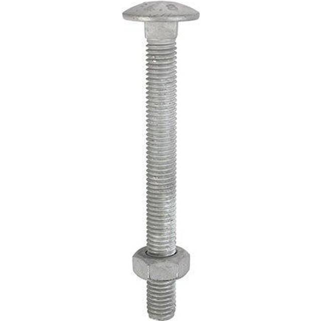 TIMCO Carriage Bolts & Hex Nuts Hot Dipped Galvanised - 10110CBG - Pa- you get 3