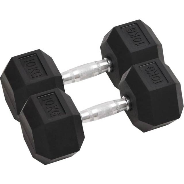 vidaXL Hantlar 2 st 20 kg totalt gjutjärn