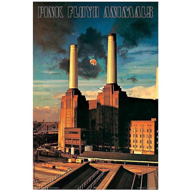 NMRAquarius Pink Floyd Animals Poster