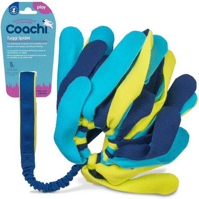 Coachi Tuggi Spider For Dogs Tug & Play Recall Navy/Lime/Light Blue